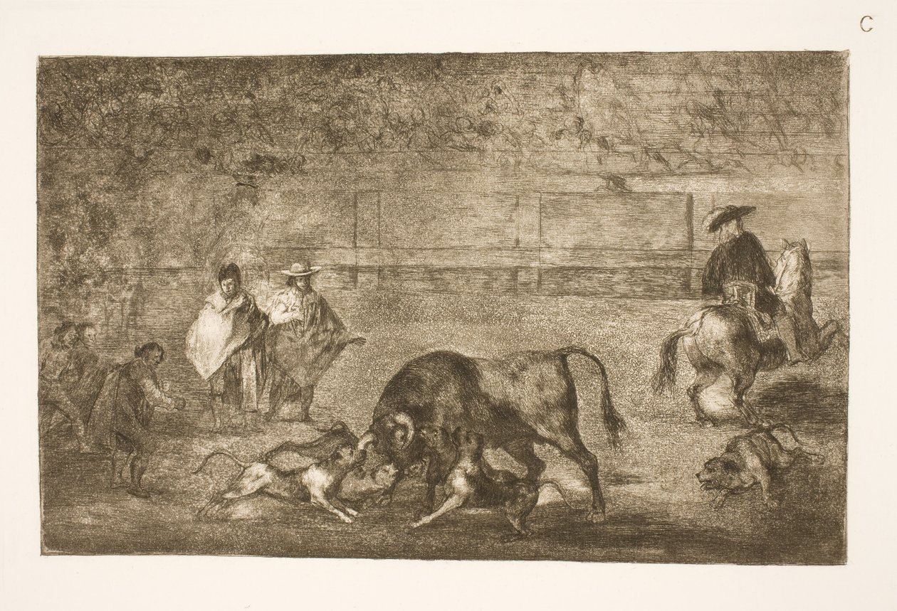 Hundarna är polerade på tjuren av Francisco de Goya