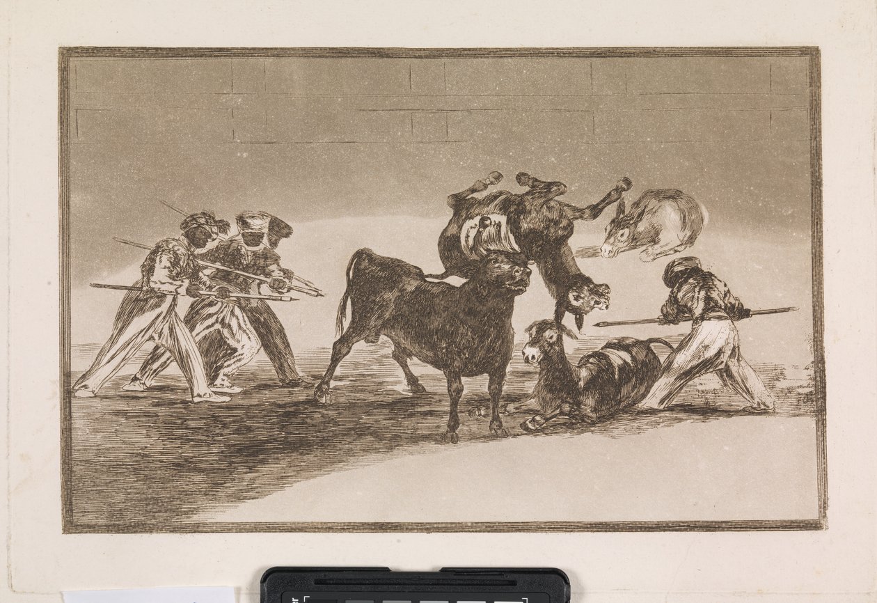 Morerna använder åsnor som en barriär för att försvara sig mot tjuren, vars horn har försetts med kulor av Francisco de Goya