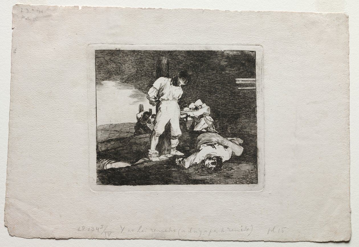 Krigets katastrofer: Och det finns ingen hjälp för det av Francisco de Goya