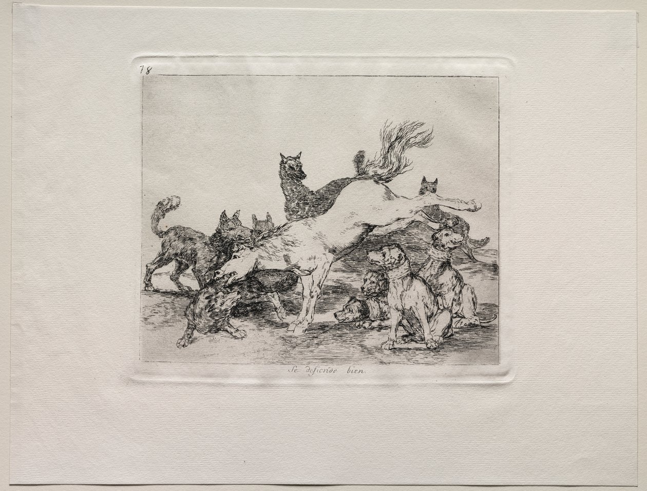 Krigets fasor: Han försvarar sig väl av Francisco de Goya