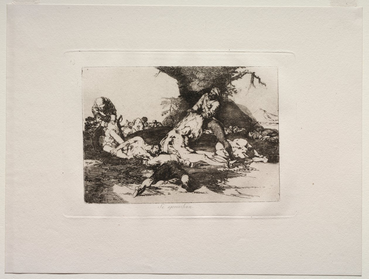 Krigets fasor: De använder dem av Francisco de Goya