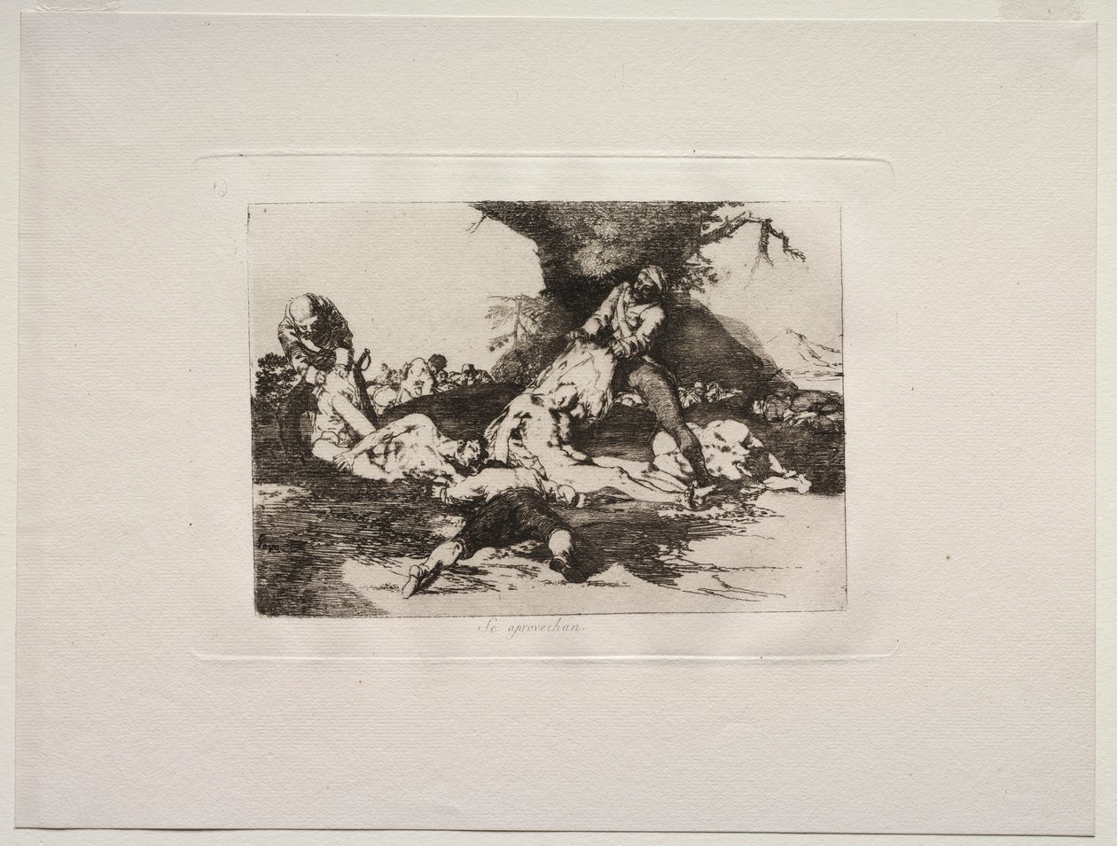 Krigets fasor: De använder dem. av Francisco de Goya