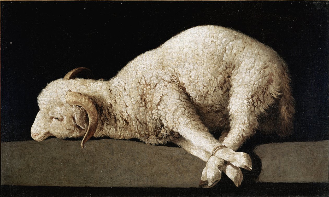 Agnus Dei av Francisco de Zurbaran