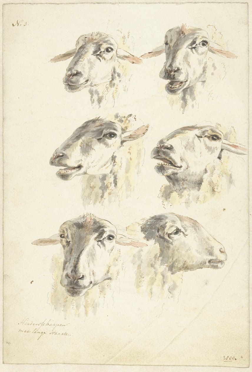 Studieblad med sex fårhuvuden av Franciscus Andreas Milatz (attributed to)