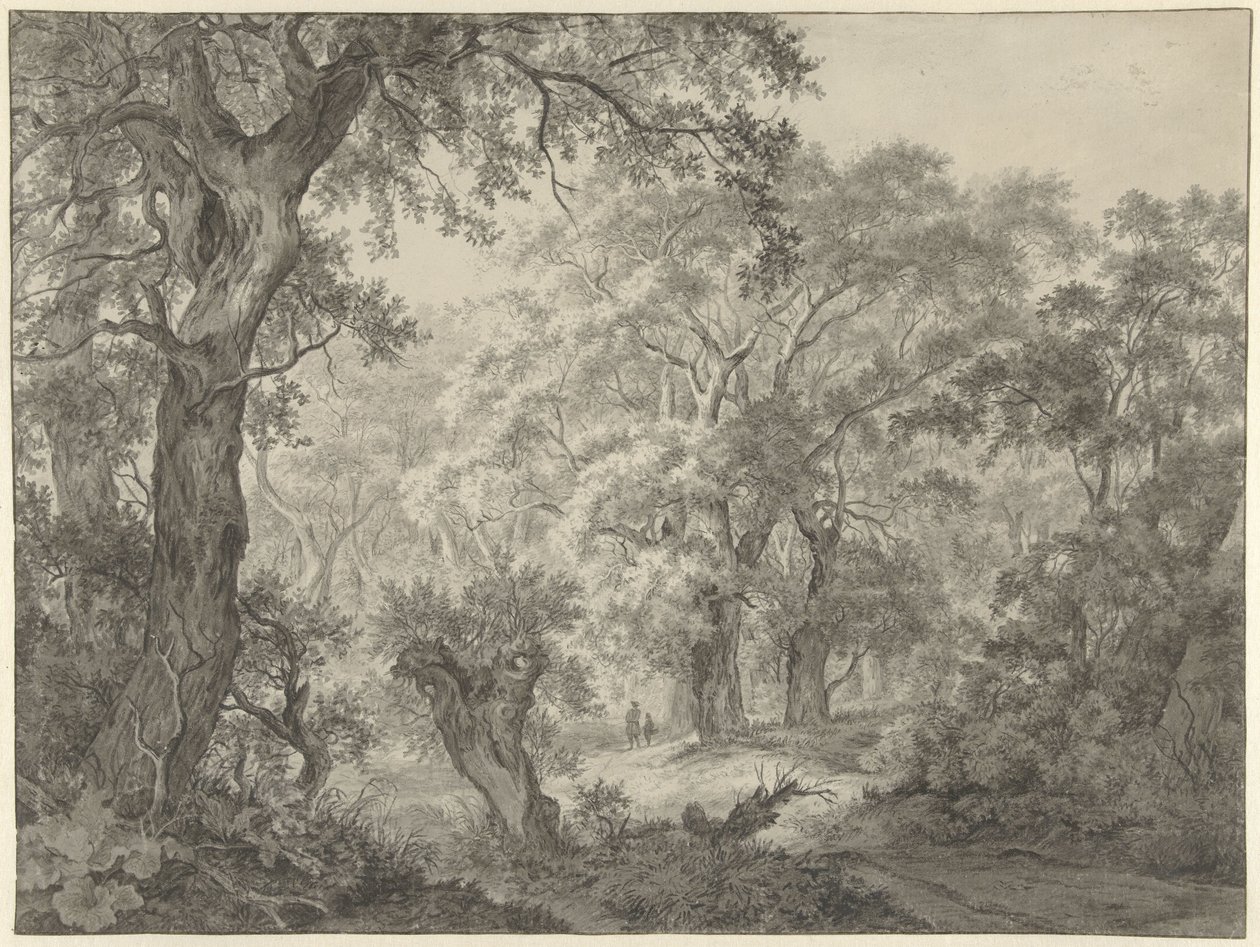 skogslandskap av Franciscus Andreas Milatz