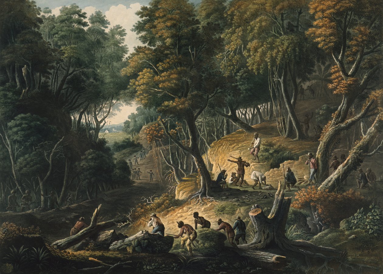 The Maroons i bakhåll på Dromily Estate i Parish of Trelawney, Jamaica, pub. 1801 av Francois Joseph Bourgoin