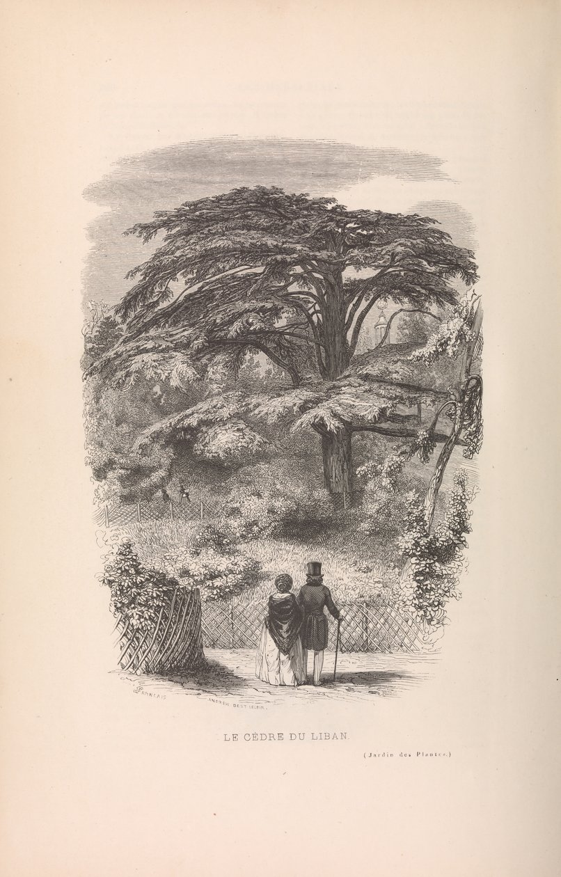 Botaniska trädgården, beskrivningar och seder av däggdjur, 1842. av Francois Boitard