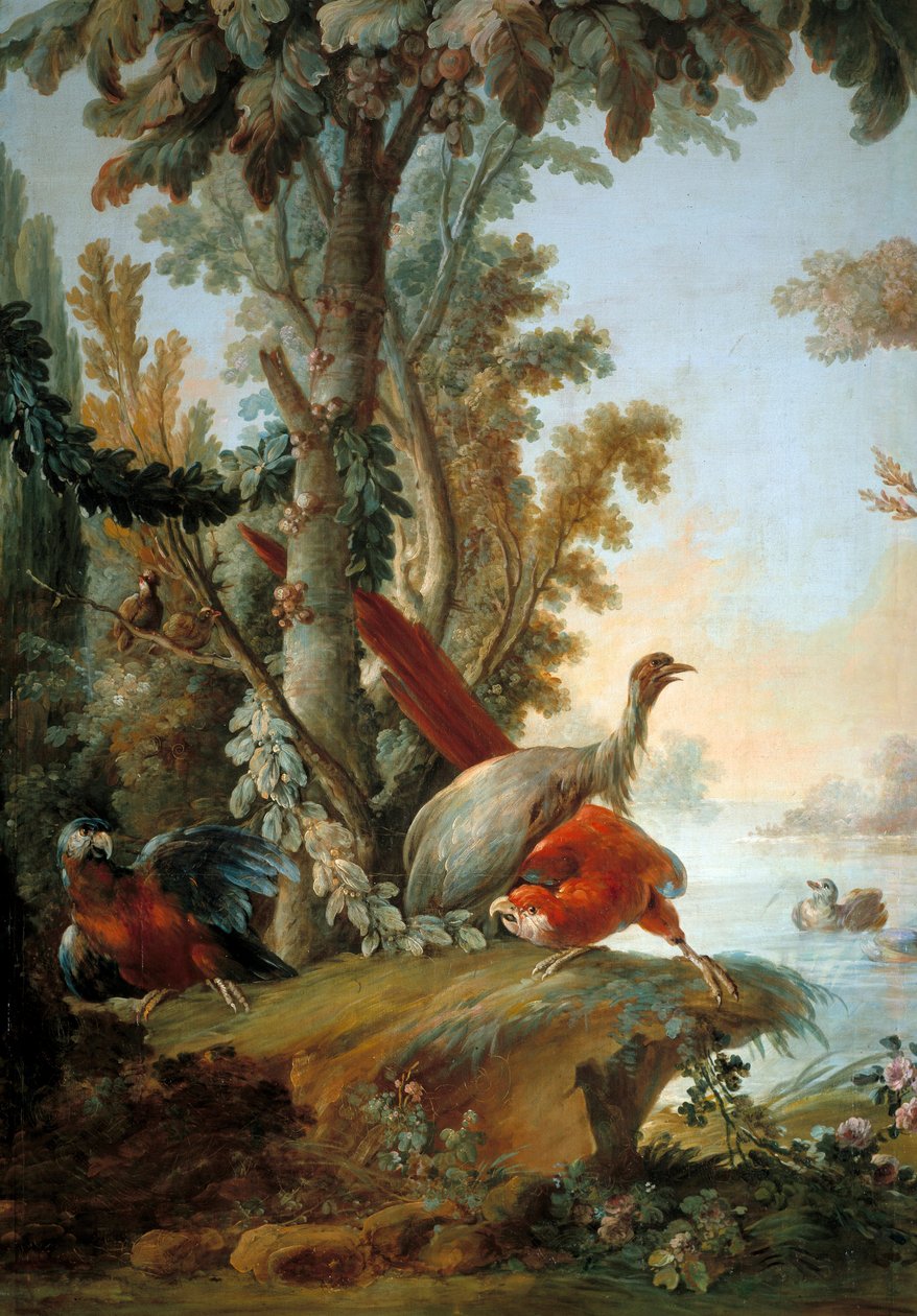 Häger och papegojor Målning av Francois Boucher (1703-1770) av François Boucher