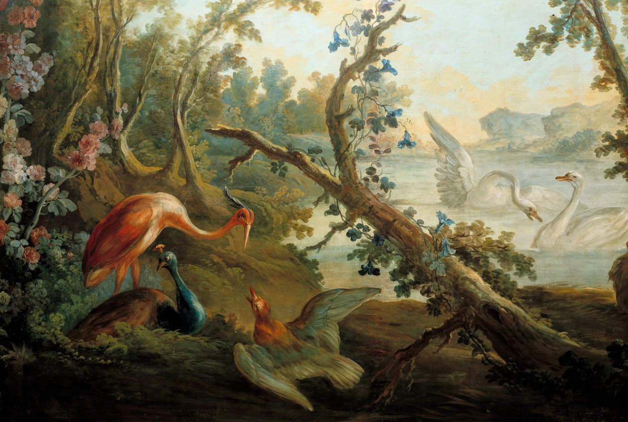 Svanar och påfåglar Målning av Francois Boucher (1703-1770) 1700-talets Paris, Musee Carnavalet av François Boucher