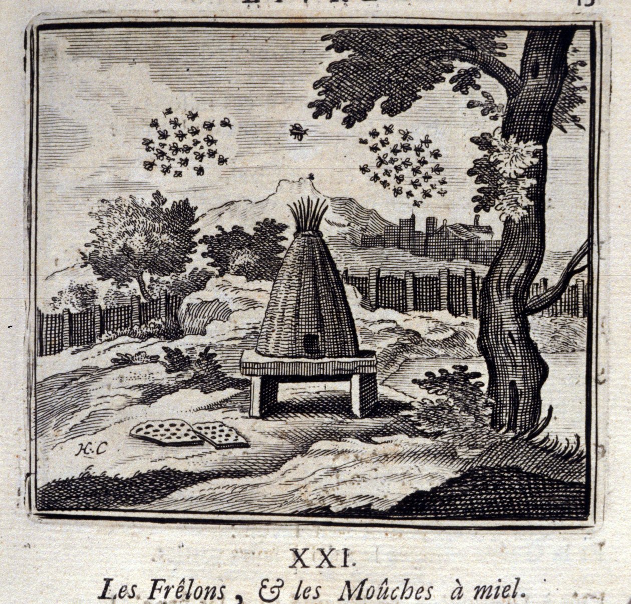 Bålgetingar och honungsflugor. Fabler av Jean de La Fontaine (1621-95). Illustration av Francois Chauveau (1613-1676). Upplaga av 1728. av Francois Chauveau