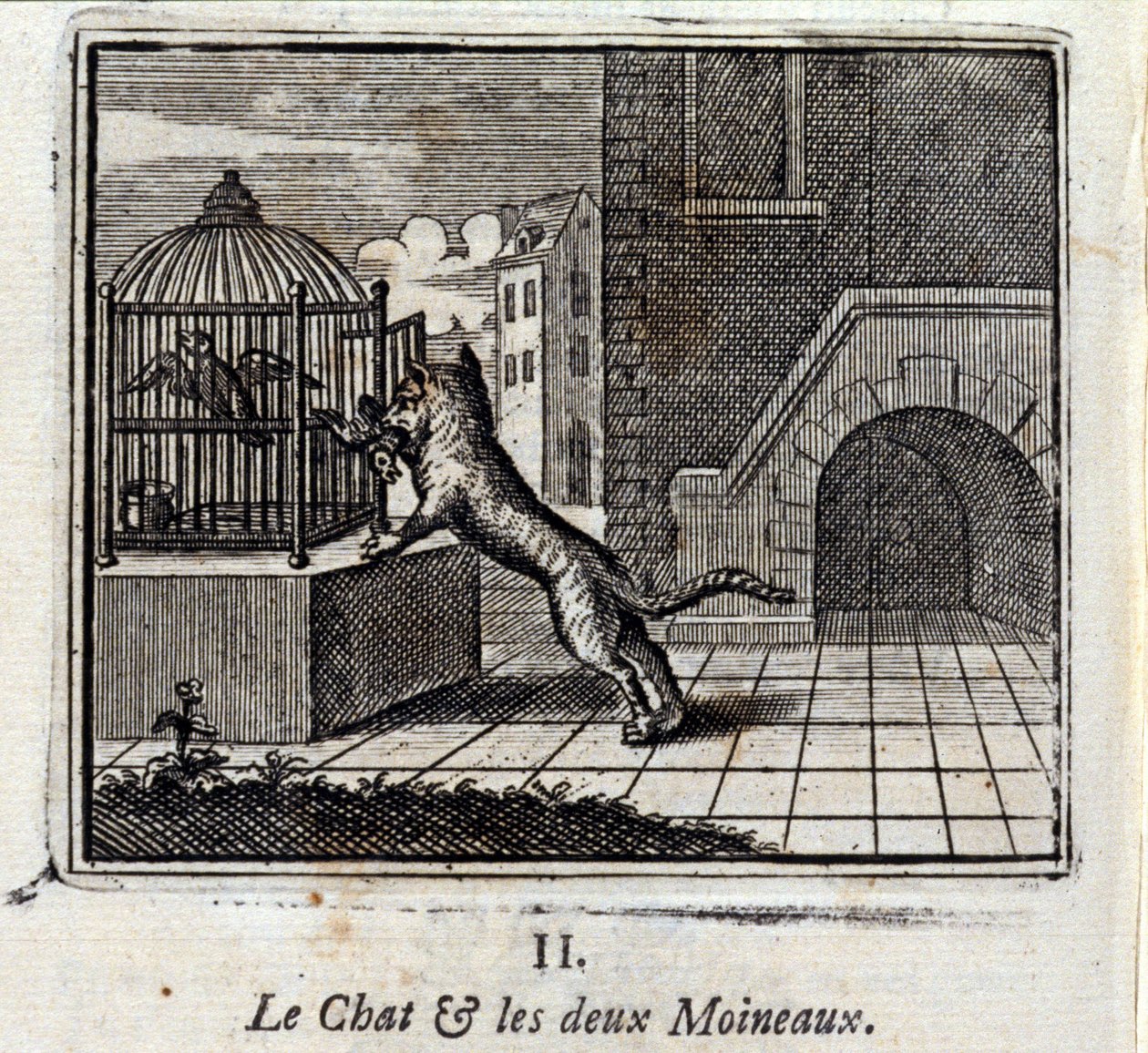 Katten och de två sparvarna. Fabler av Jean de La Fontaine (1621-95). Illustration av François Chauveau (1613-1676). Upplaga från 1728. av Francois Chauveau