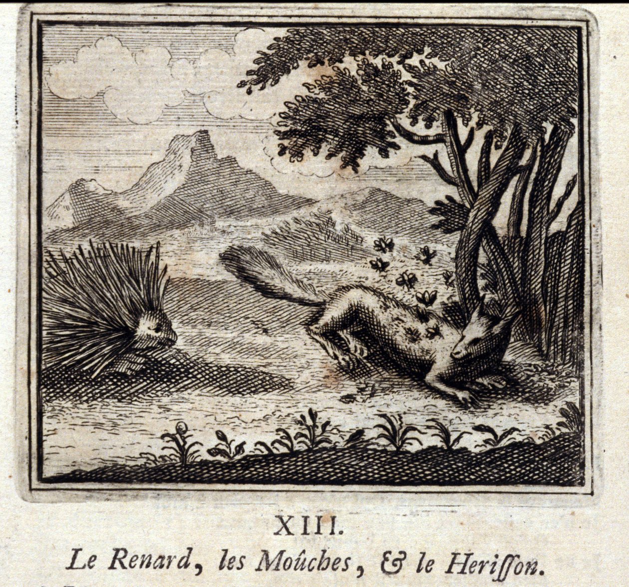 Räven, flugorna och Herisson. Fabler av Jean de La Fontaine (1621-95). Illustration av François Chauveau (1613-1676). Upplaga av 1728. av Francois Chauveau