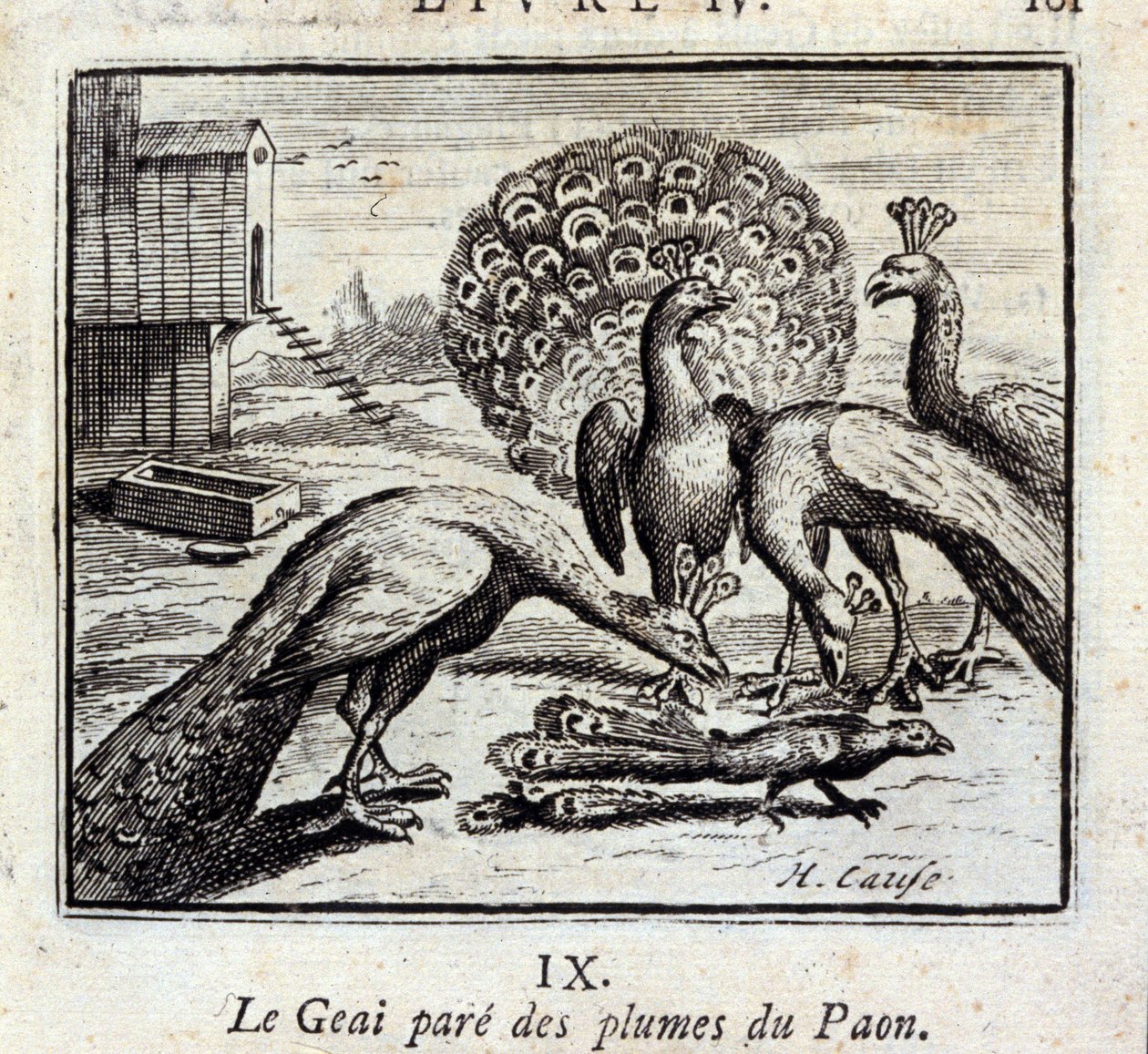 Jay pryder påfågelfjädrar. Fabler av Jean de La Fontaine (1621-95). Illustration av François Chauveau (1613-1676). Upplaga av 1728. av Francois Chauveau