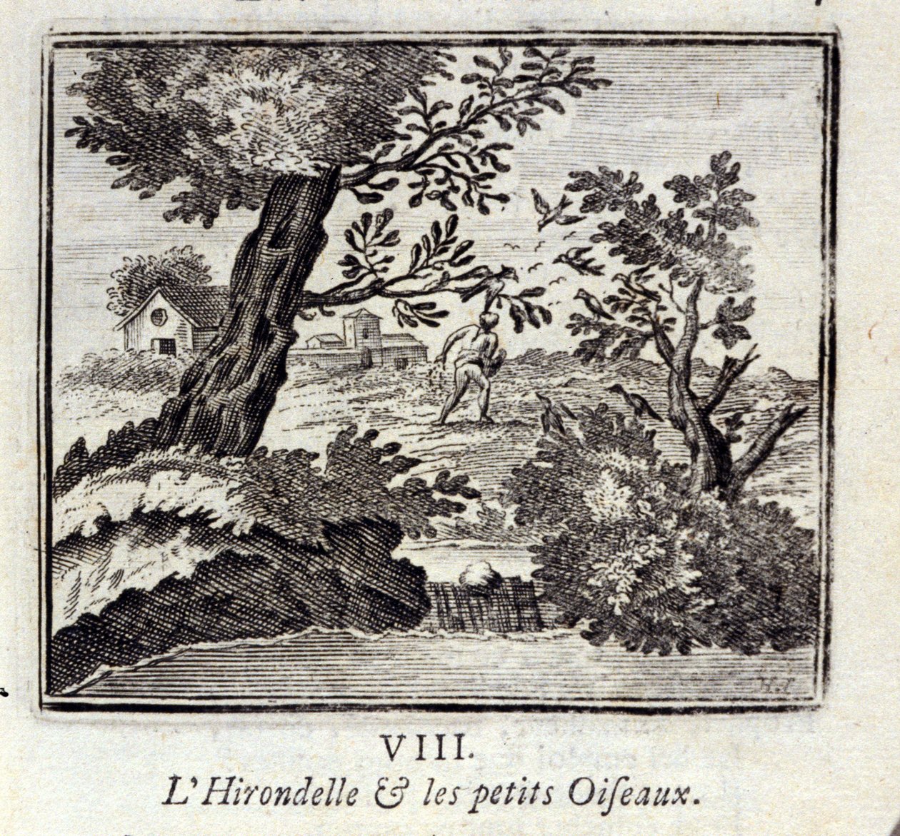 Svalan och småfåglarna. Fabler av Jean de La Fontaine (1621-95). Illustration av François Chauveau (1613-1676). Upplaga av 1728. av Francois Chauveau
