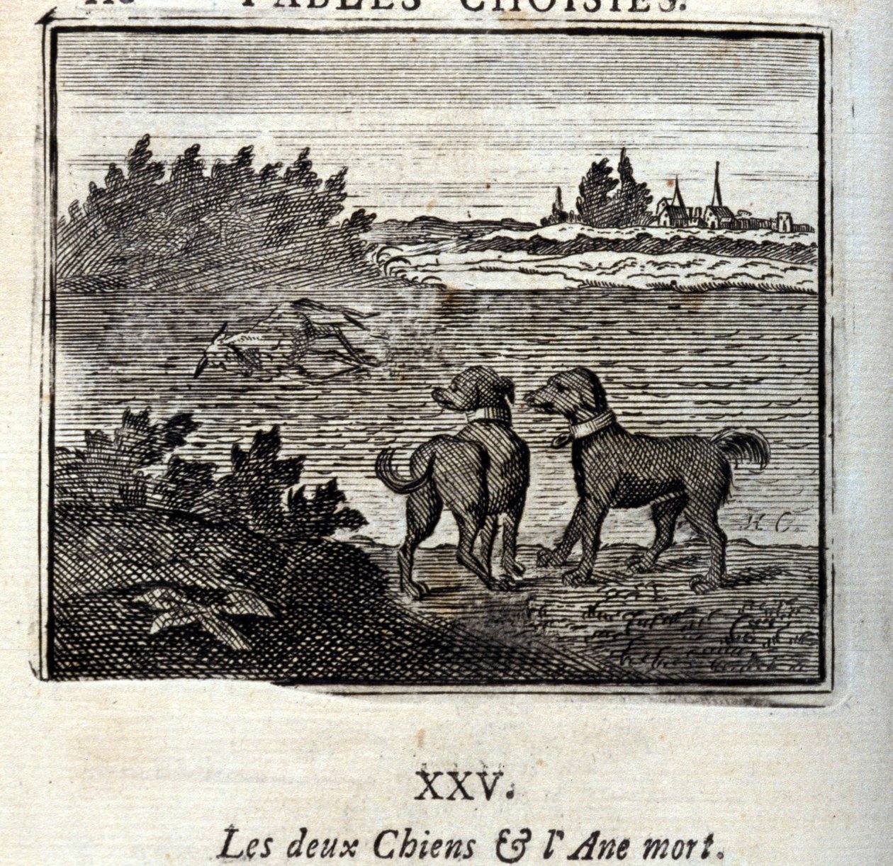 De två hundarna och den döda åsnan. Fabler av Jean de La Fontaine (1621-95). Illustration av François Chauveau (1613-1676). Upplaga från 1728. av Francois Chauveau