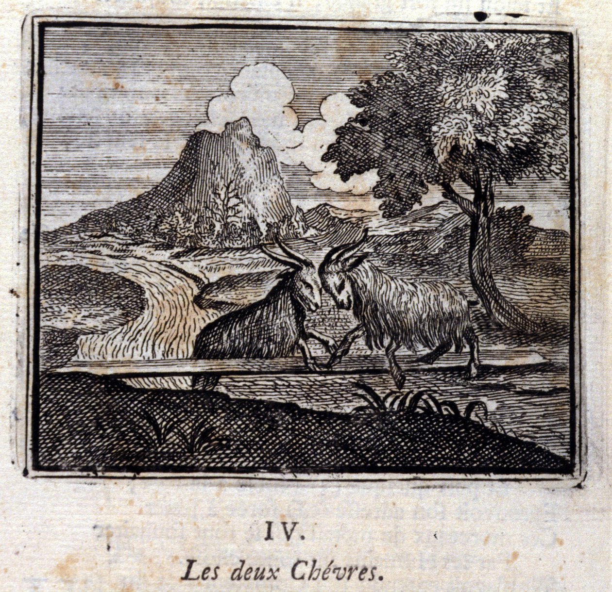 De två getterna. Fabler av Jean de La Fontaine (1621-95). Illustration av François Chauveau (1613-1676). Upplaga av 1728. av Francois Chauveau