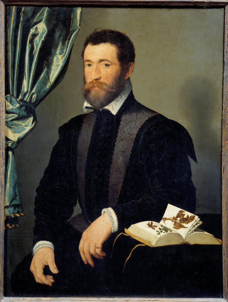 Porträtt av apotekaren Pierre Quthe (1519-après 1588) Målning av Francois Clouet (1515-1572) 1562 Sön. 0,91x0,7 m - Porträtt av apotekaren Pierre Quthe (1519- ca1588). Målning av Francois Clouet (1515-1572) av François Clouet