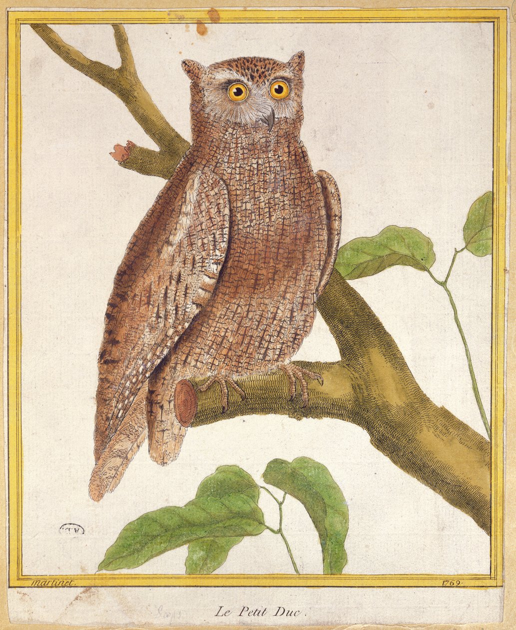Sjöluggla, ur "Histoire Naturelle des Oiseaux" av Georges de Buffon (1707-88), publicerad 1777. av Francois Nicolas Martinet