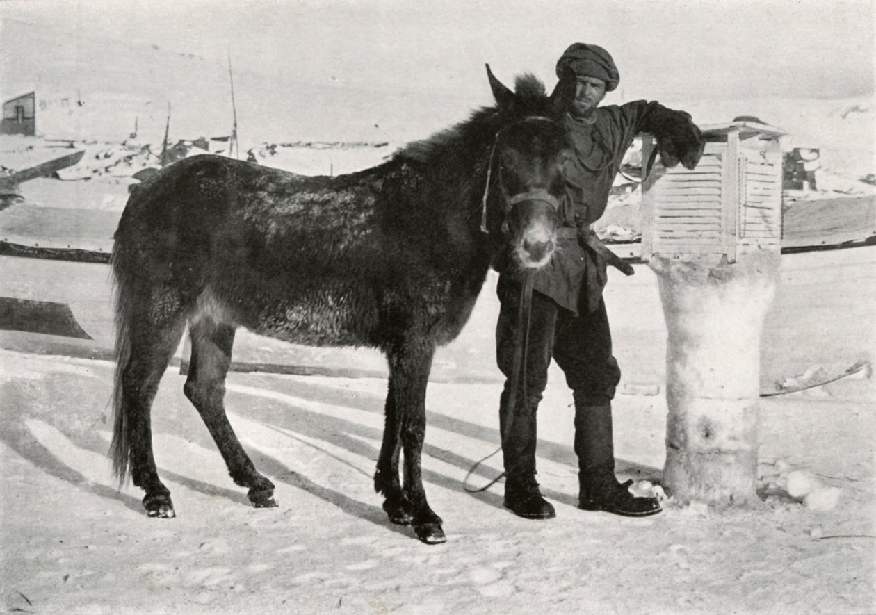 Gran med Mule Lal Khan, c1911, 1913 av Frank Debenham
