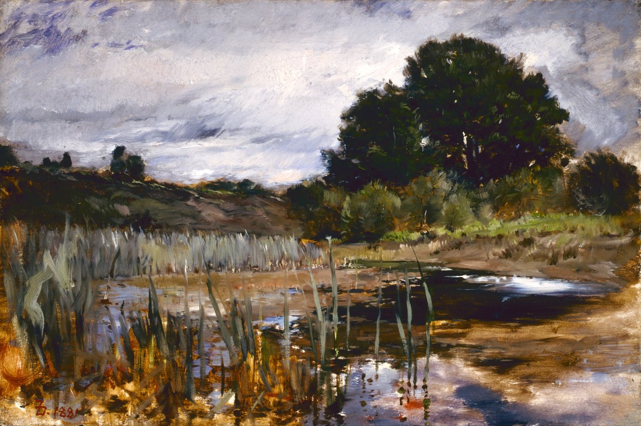 Polling Landscape av Frank Duveneck
