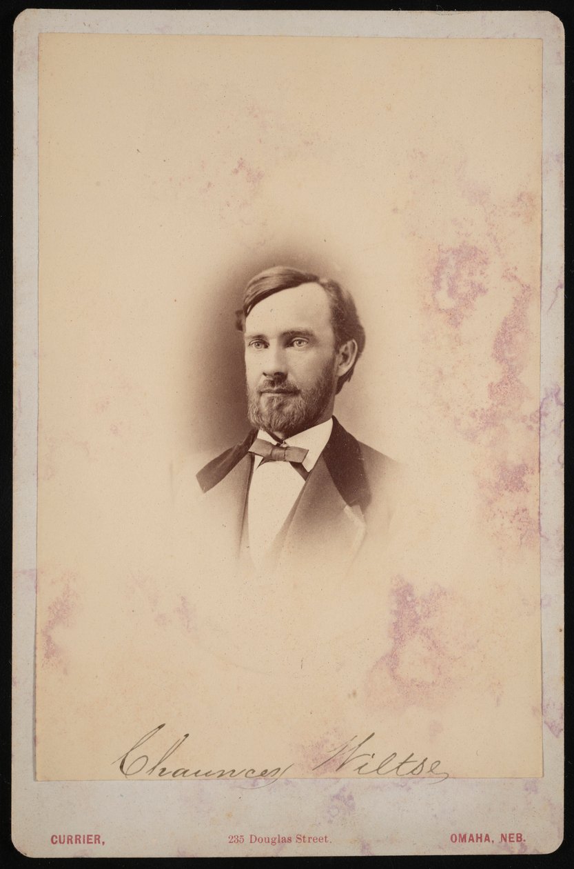 Porträtt av Chauncey Wiltse 1834-1894, 1875-1876. av Frank F Currier