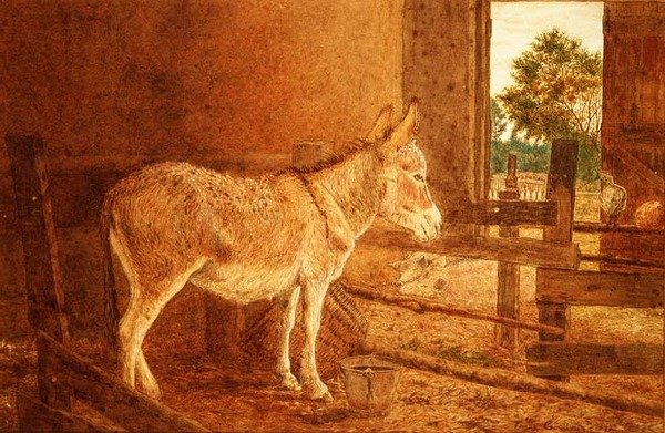 En brun studie av Frank Goodwin