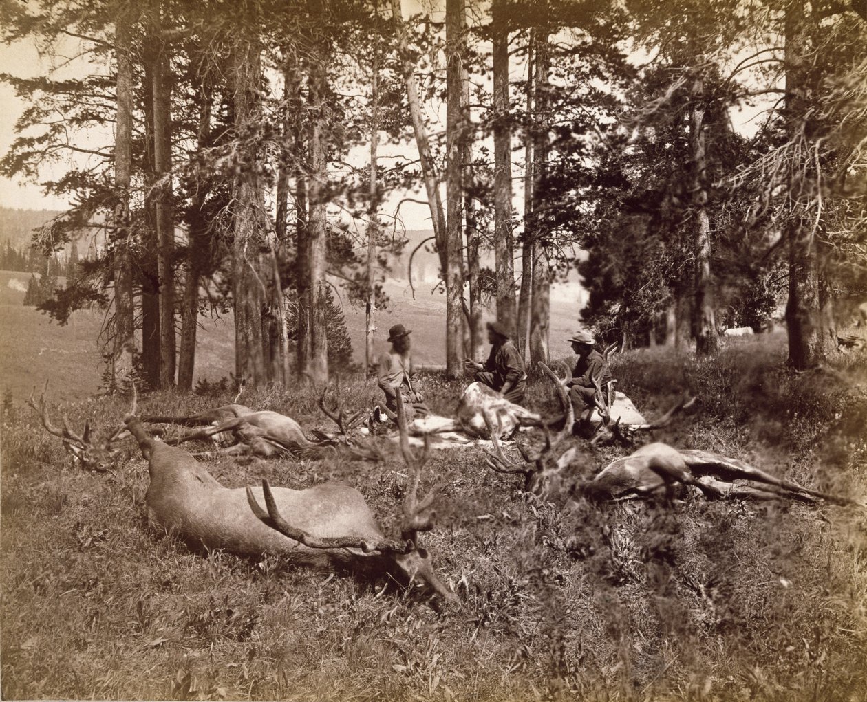 Älgjägare, Yellowstone, ca 1880 (albumin silvertryck) av Frank Jay Haynes
