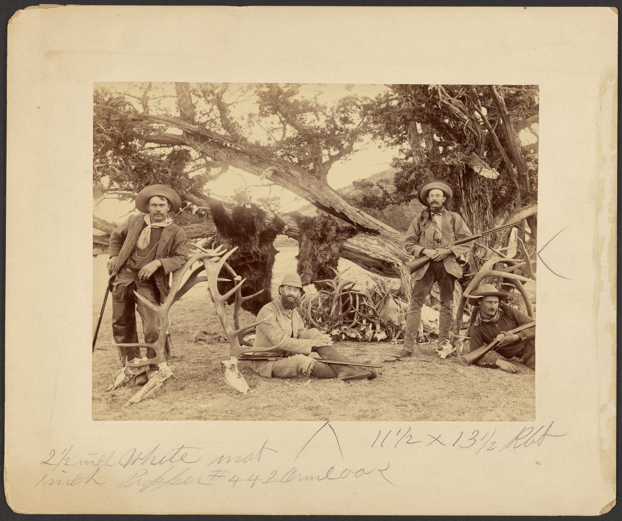 Lispenard Stewart party, #6 - 5th Ave., N.Y. med troféer vid gammalt cederträd, Mammoth Hot Springs, Yellowstone National Park av Frank Jay Haynes