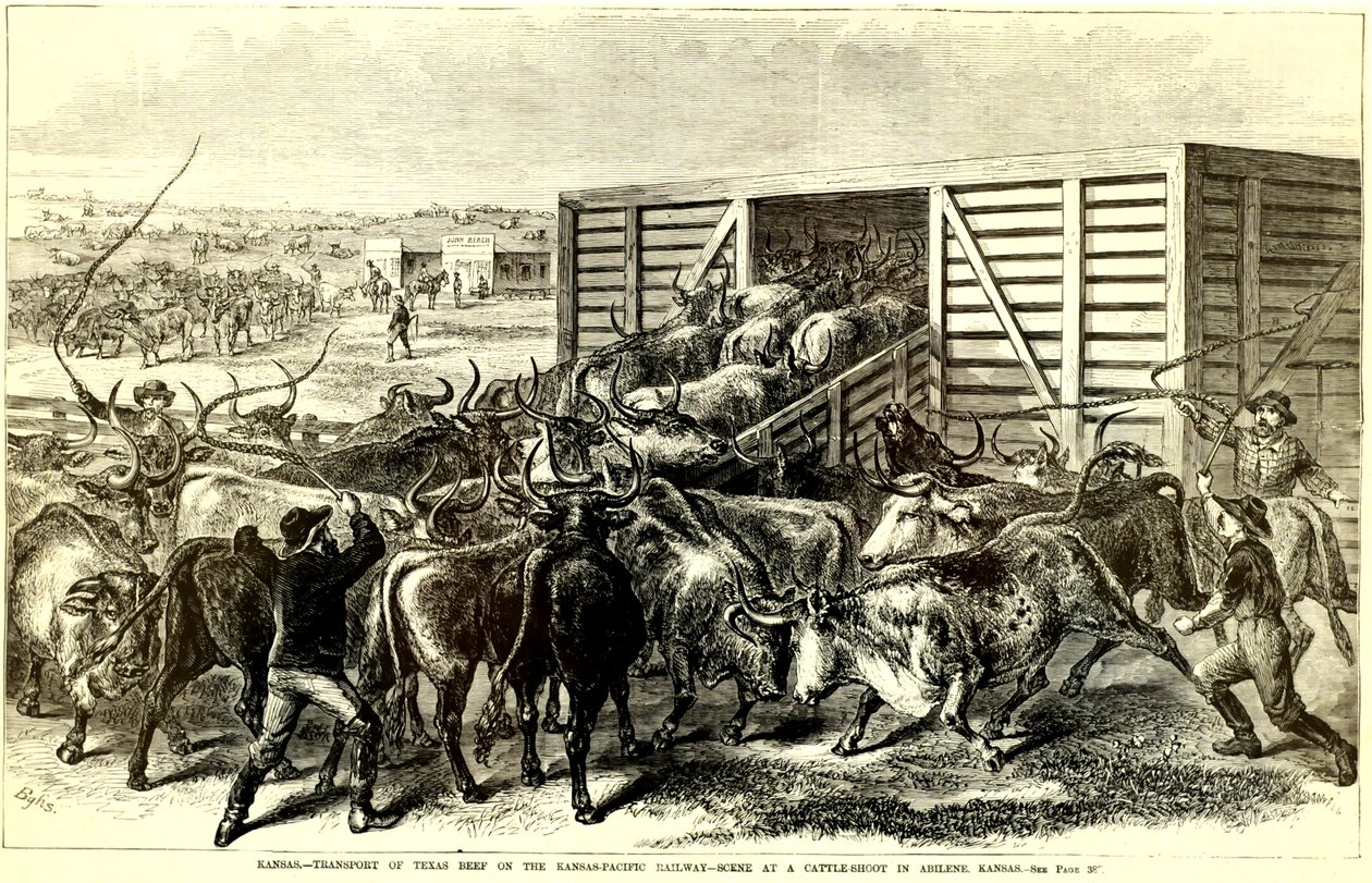 Cattle Chute i Abilene, Kansas, ca. 1871 (gravyr) av Frank Leslie