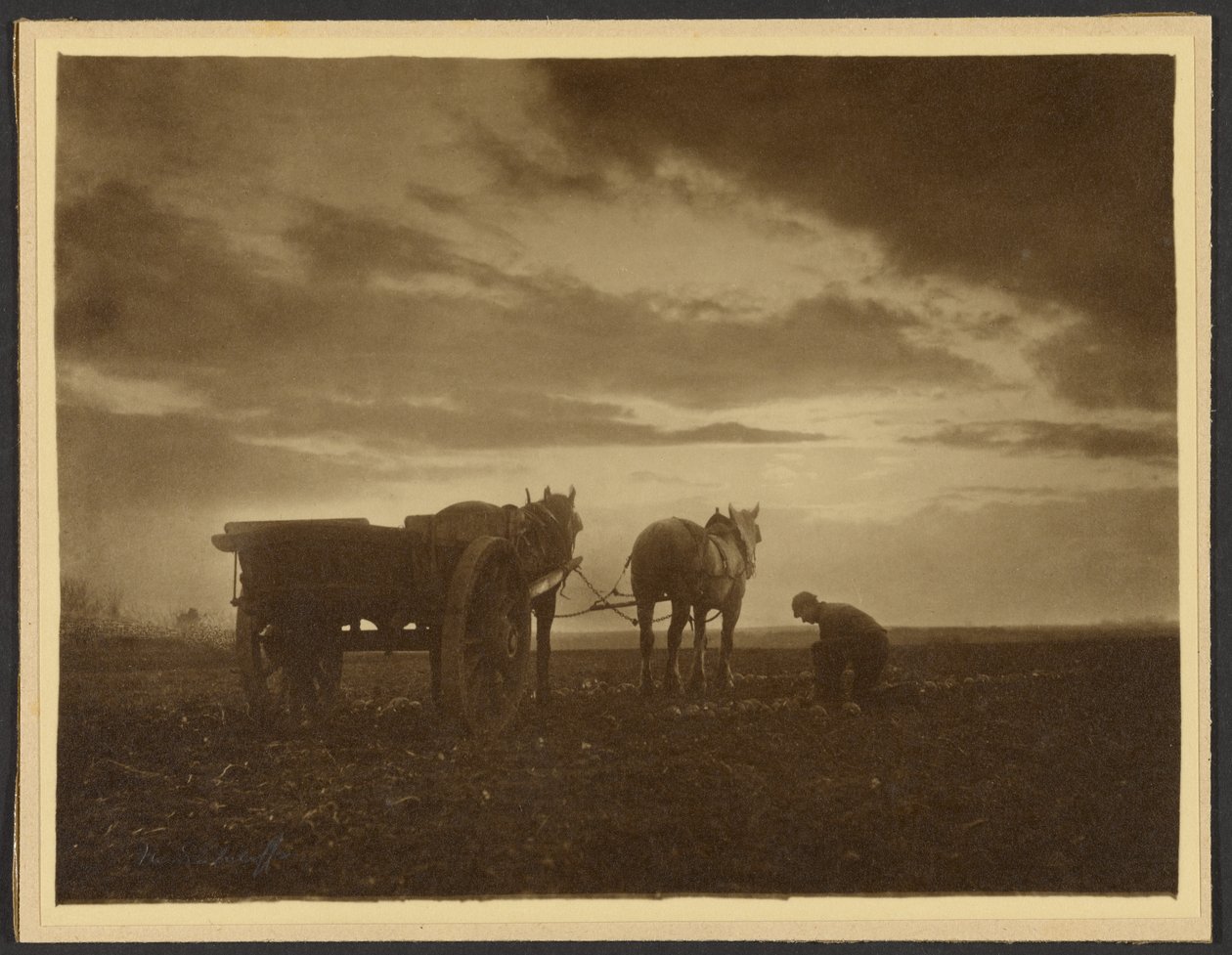 Bland rovorna av Frank Meadow Sutcliffe