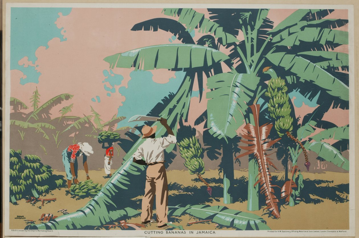 Att skära bananer på Jamaica (litho i färg) av Frank Newbould