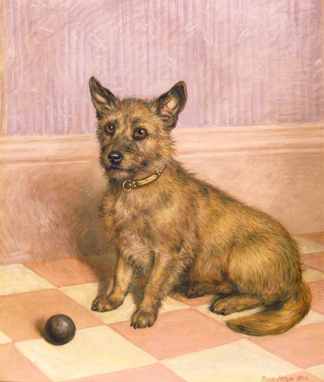 Waiting to Play, en Cairn terrier med en boll (olja) av Frank Paton