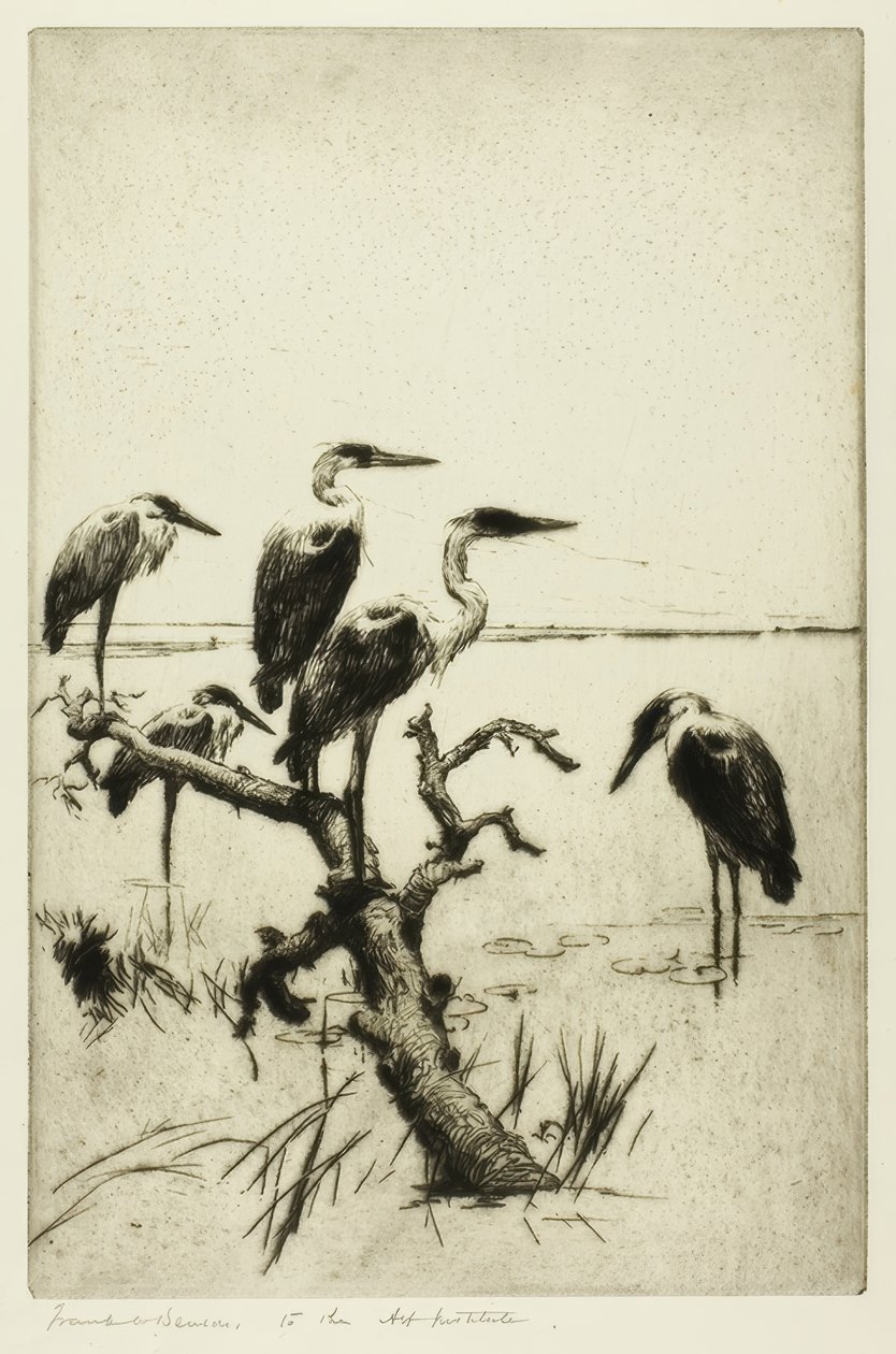 vilande hägrar av Frank Weston Benson