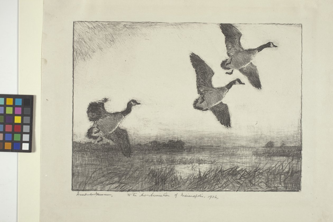 Tre gäss (bläck på papper) av Frank Weston Benson