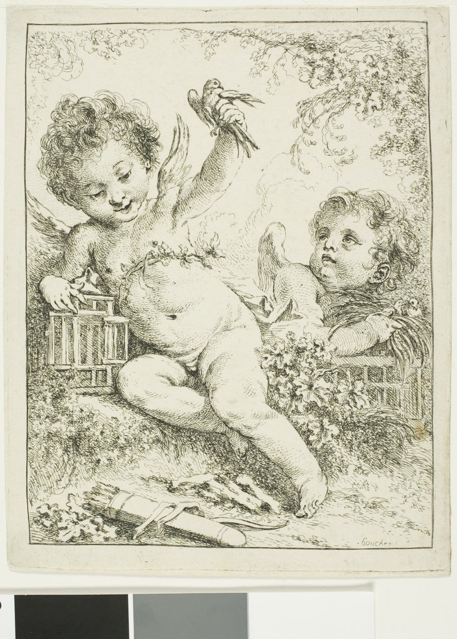 Två putti med en fågel av François Boucher