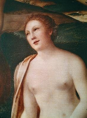 Byst av en nymf, detalj från Diana Bathing av François Clouet