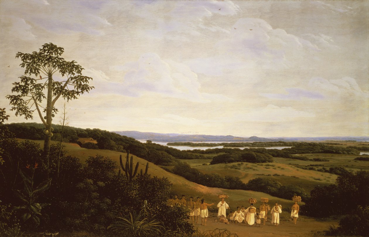Panoramautsikt i Brasilien med en flod i fjärran (par av 61465) av Frans Post