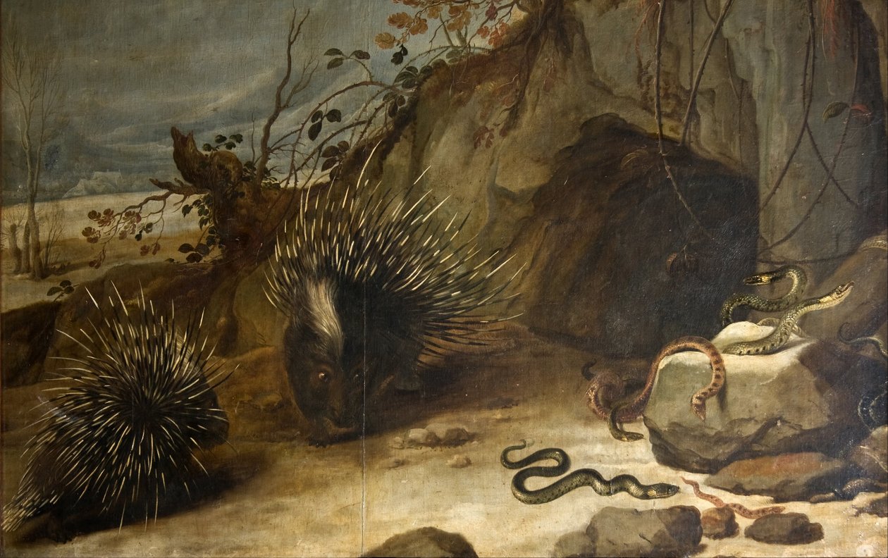 Porcupines och huggormar av Frans Snyders or Snijders