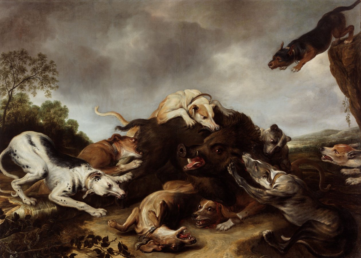 Jakten på vildsvin av Frans Snyders or Snijders