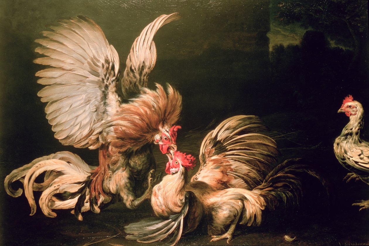 Fighting Cocks av Frans Snyders or Snijders