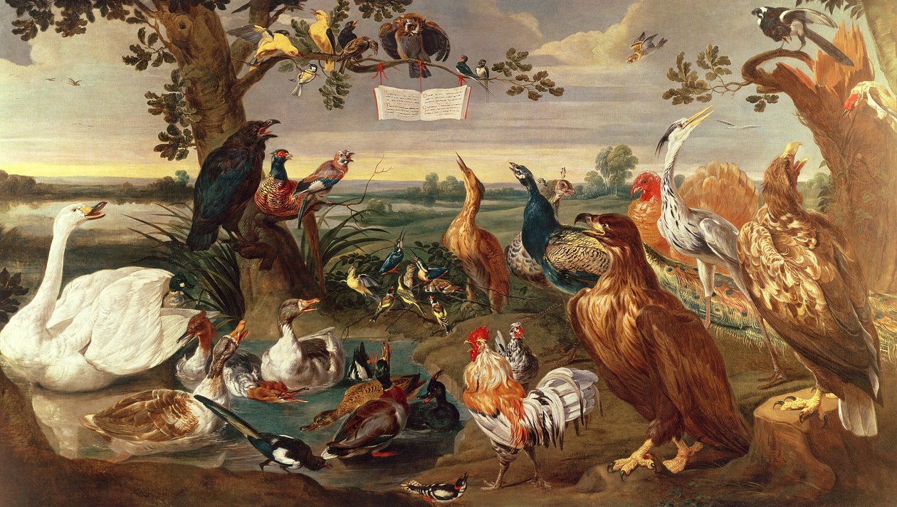 Olika fåglar av Frans Snyders or Snijders