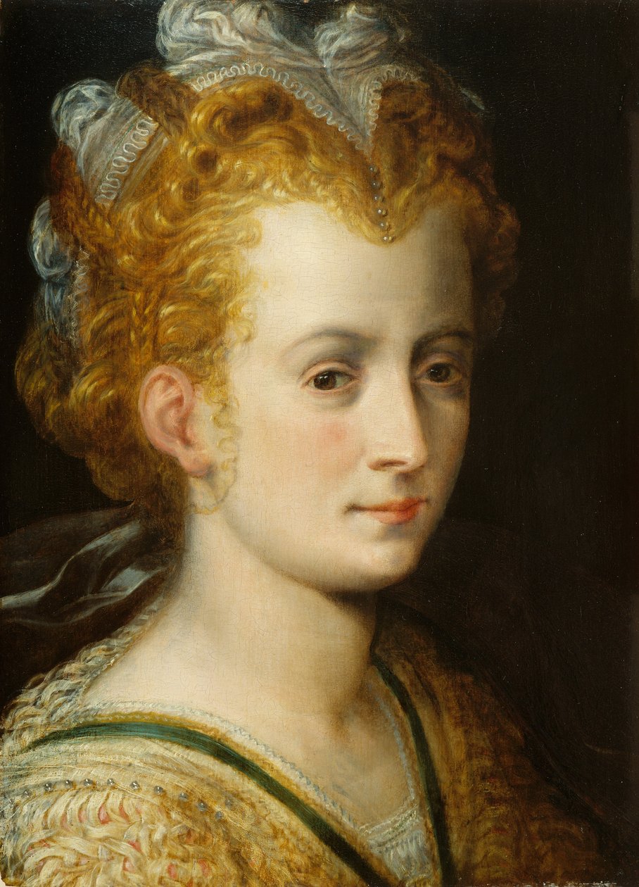 Chef för en ung kvinna, ca 1555 av Frans Floris
