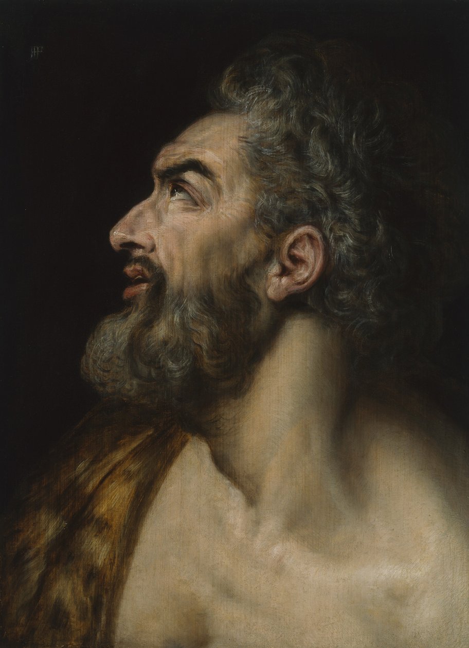 Studiehuvud för en skäggig man, ca 1565 (olja på panel) av Frans Floris