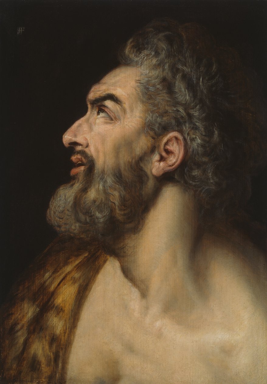 Studie Huvud av en skäggig man av Frans Floris I