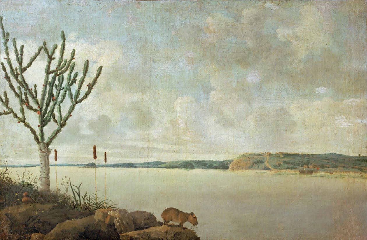 Le Rio Sao Francisco och Fort Maurice, Brasilien ... av Frans Jansz Post