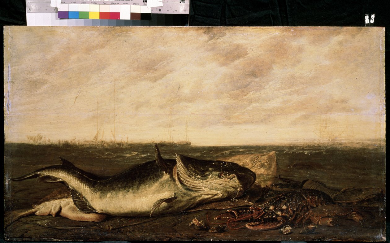 Fisk och hummer på stranden (Fisk och hummer på stranden). Målning av Frans Ryckhals (efter 1600-1647). Olja på duk, 47 x 83,5 cm av Frans Ryckhals
