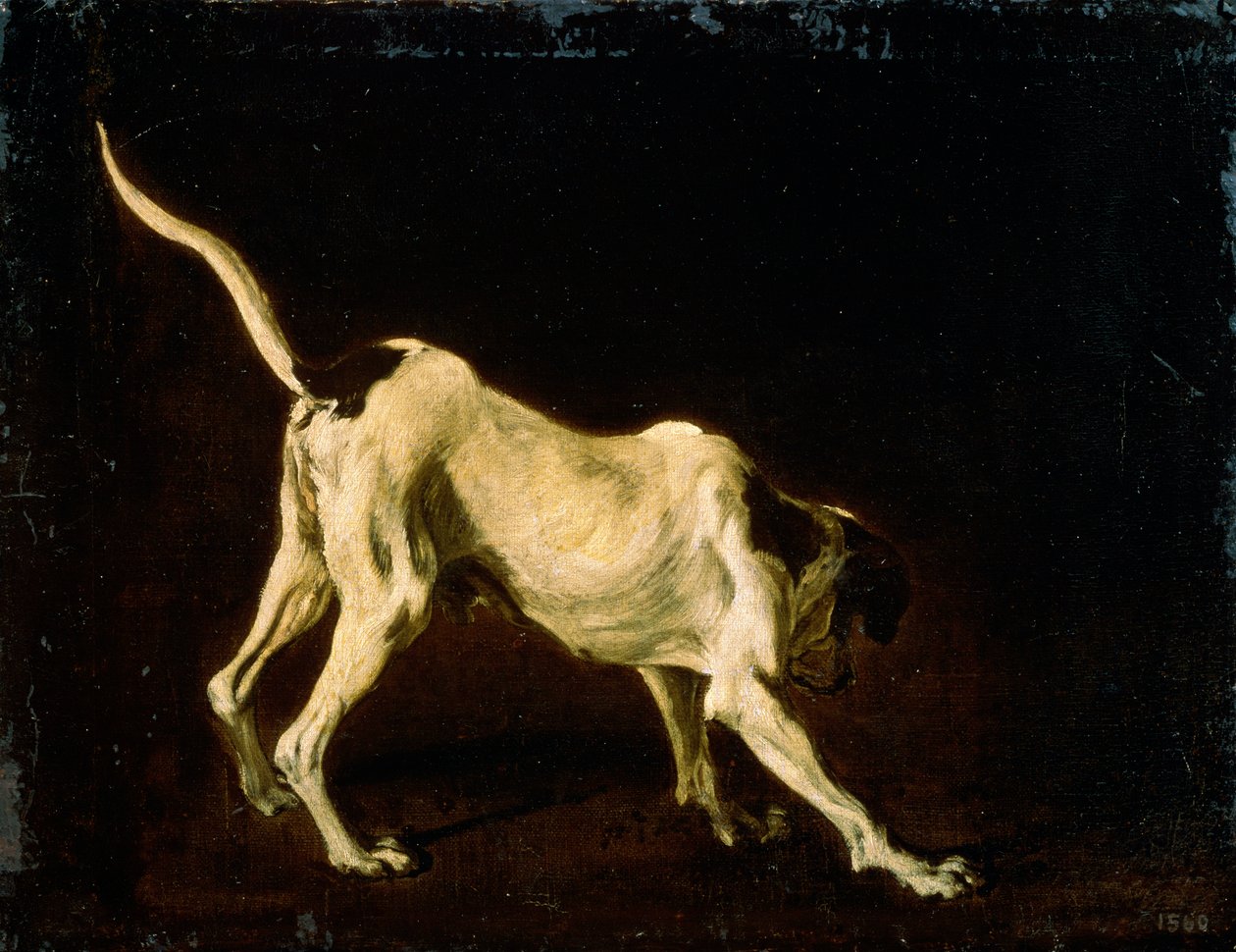 En hund, 1600-talet av Frans Snyders or Snijders