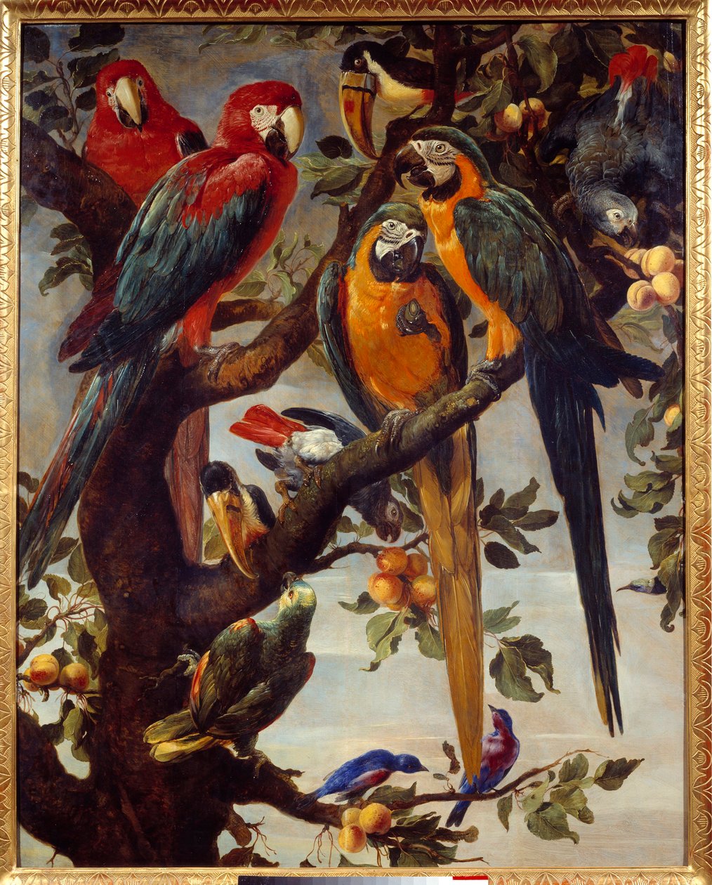Papegojor och andra fåglar Målning av Frans Snyders (1579-1657) 1600-talet sön. 1,22x0,98 m Grenoble, Musee des Beaux Arts av Frans Snyders