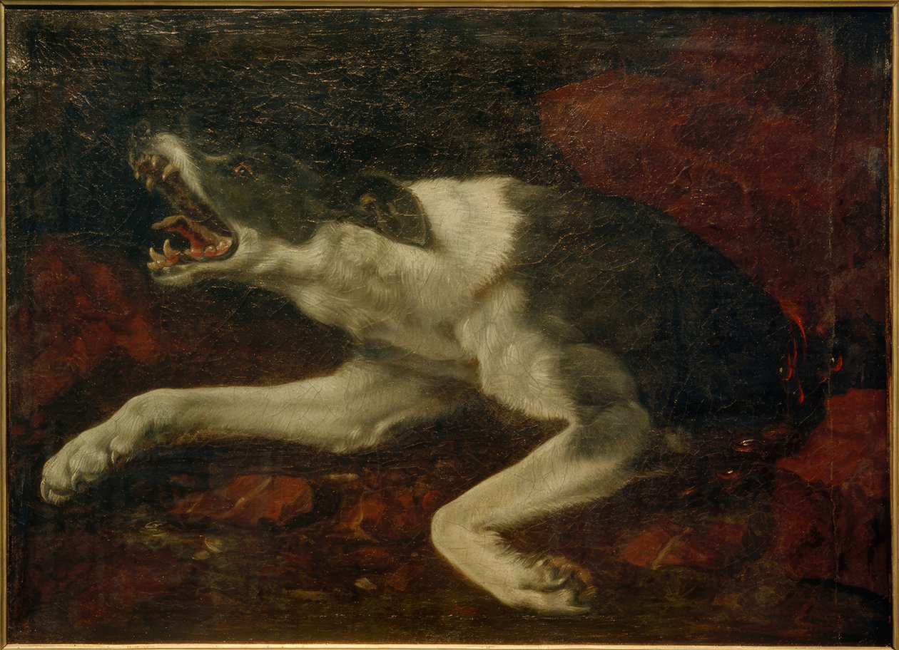 skadad hund av Frans Snyders or Snijders