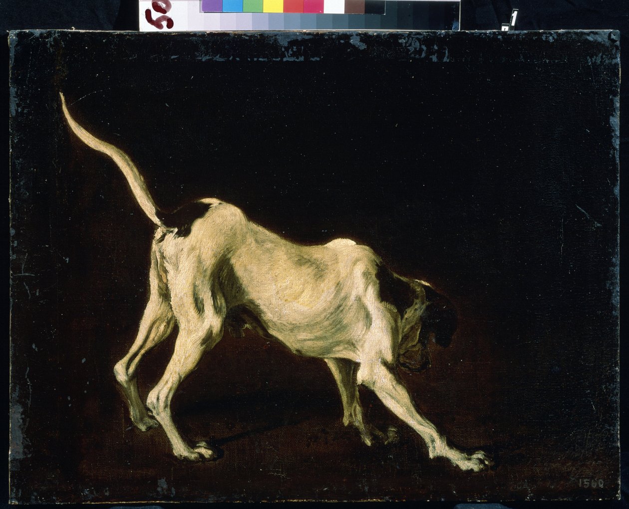 Hund (En hund). Målning av Frans Snyders (1579-1657). Olja på duk av Frans Snyders or Snijders